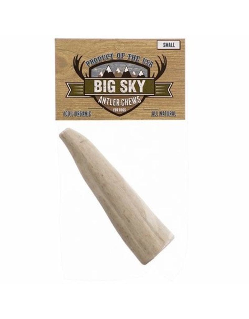 Big Sky Antler