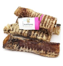 Tuesday's NDC Trachea