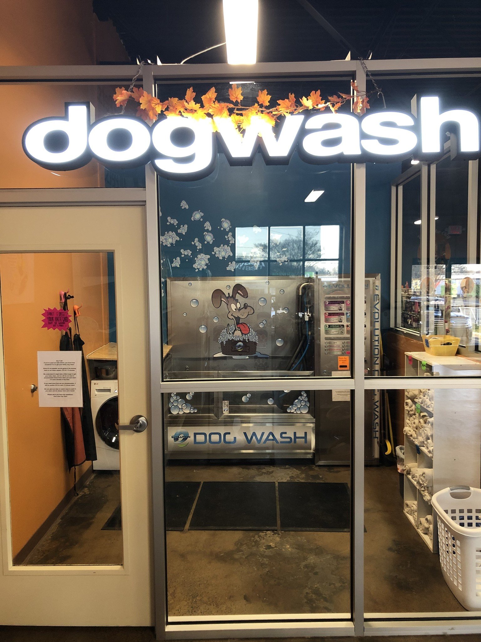 self-service-dog-wash-pet-in-the-city