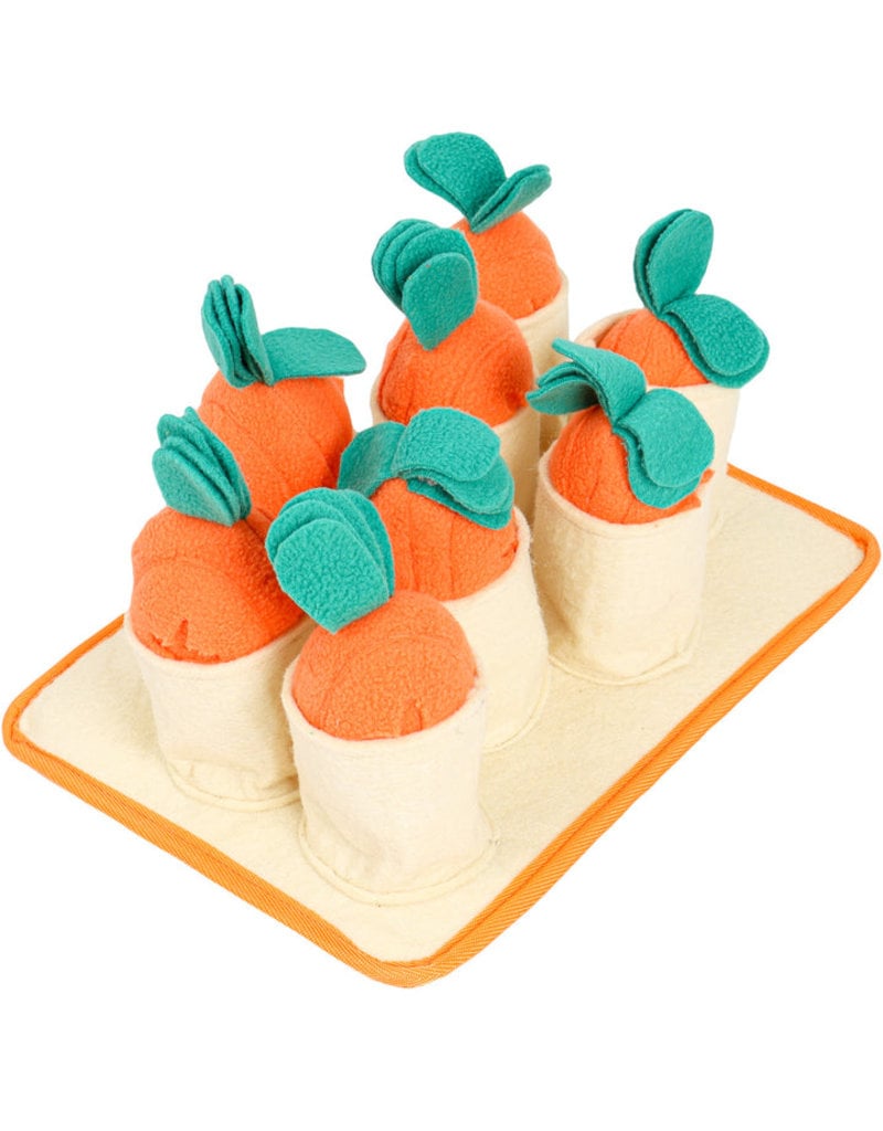 Injoya Snuffle Toy Carrot Patch