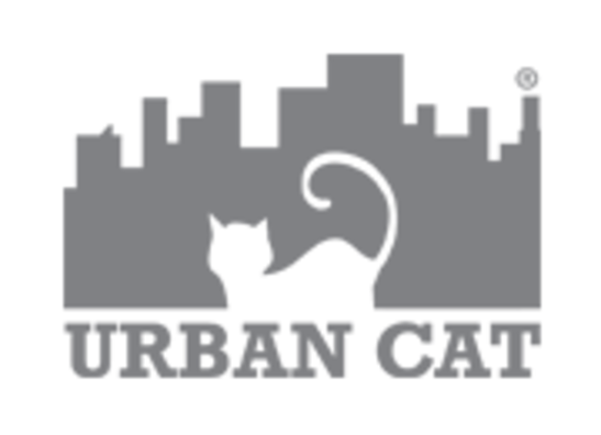 Urban Cat