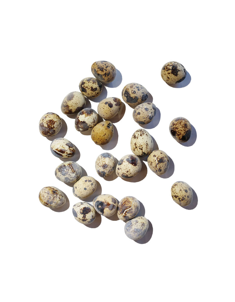 Savage Cat Quail Eggs 24ct