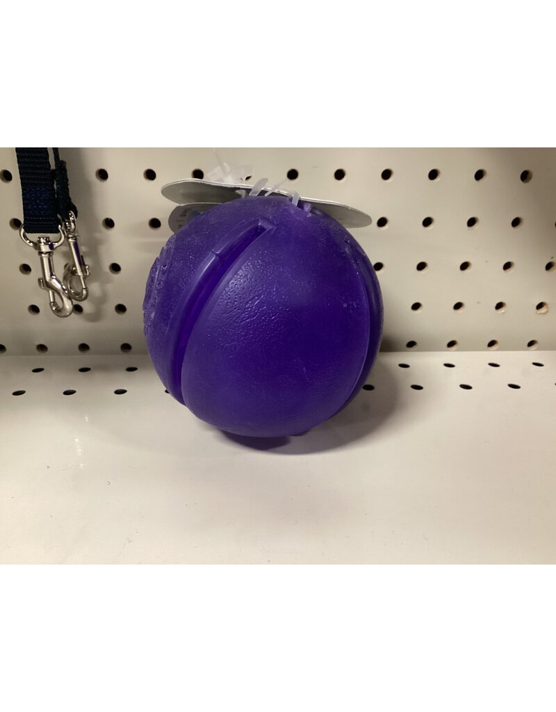 Planet Dog Orbee-Tuff GuRu Blue