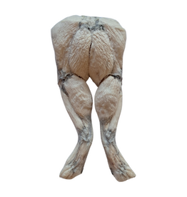 Bones & Co Frog Legs