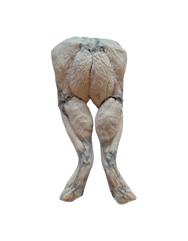 Bones & Co  Frog Legs
