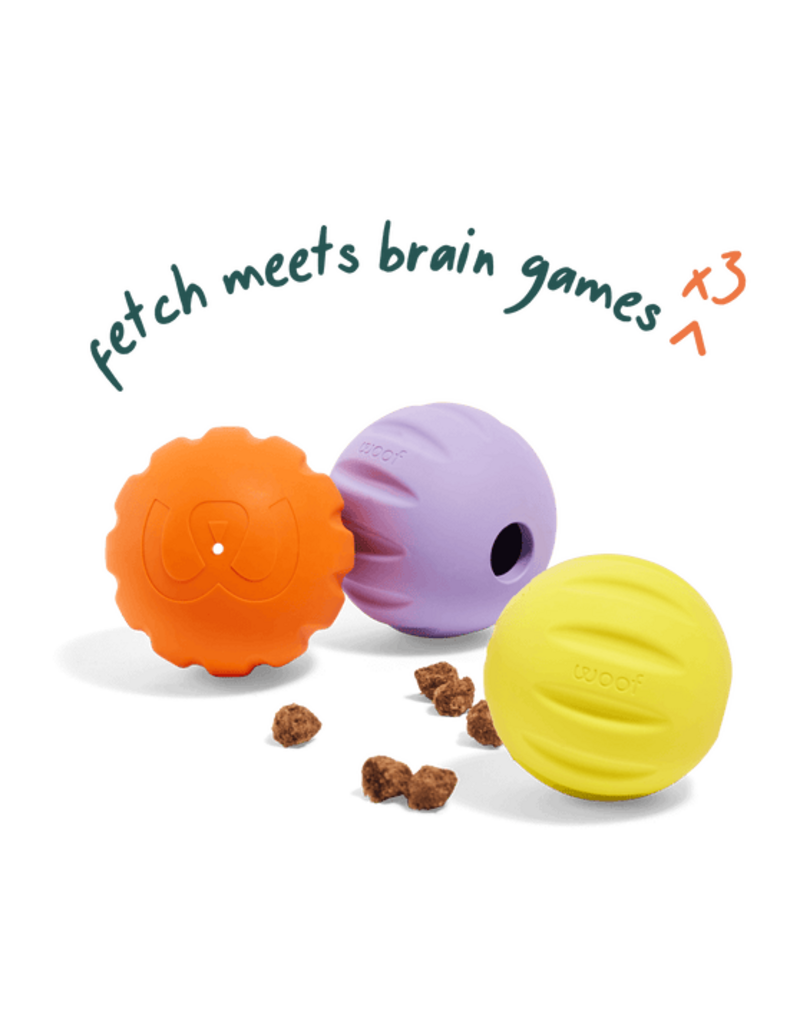 Woof Forager Flyball 3pk