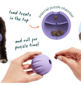 Woof Forager Flyball Lavender