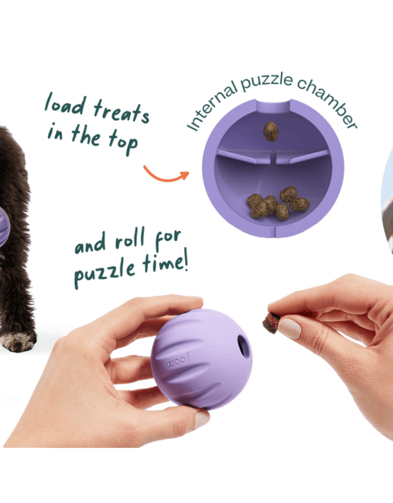 Woof Forager Flyball Lavender