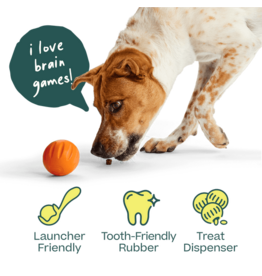 Woof Forager Flyball Orange