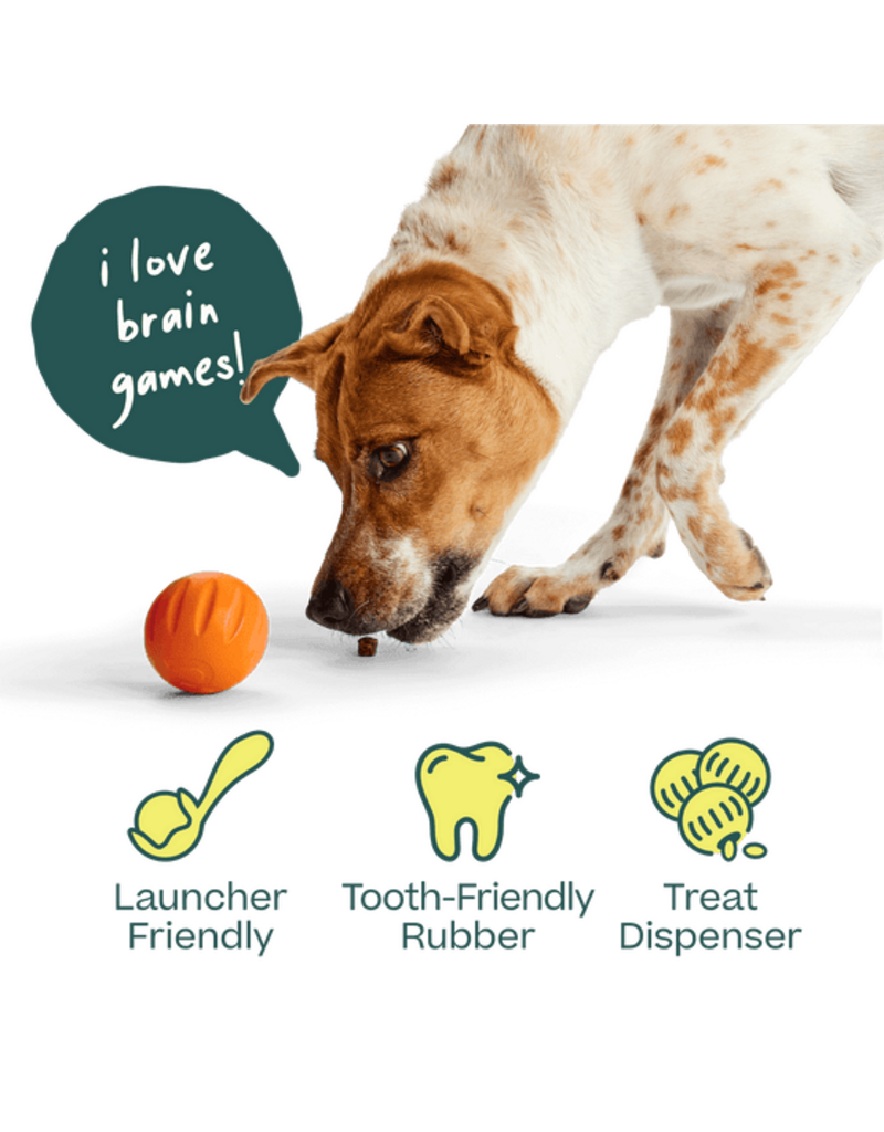 Woof Forager Flyball Orange