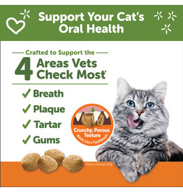 Cat Dental Treats Chicken 2oz