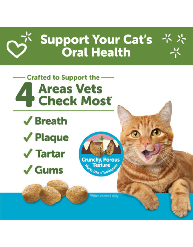 Cat Dental Treats Chicken Tuna 2oz