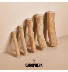 Canophera Coffee Wood Chews