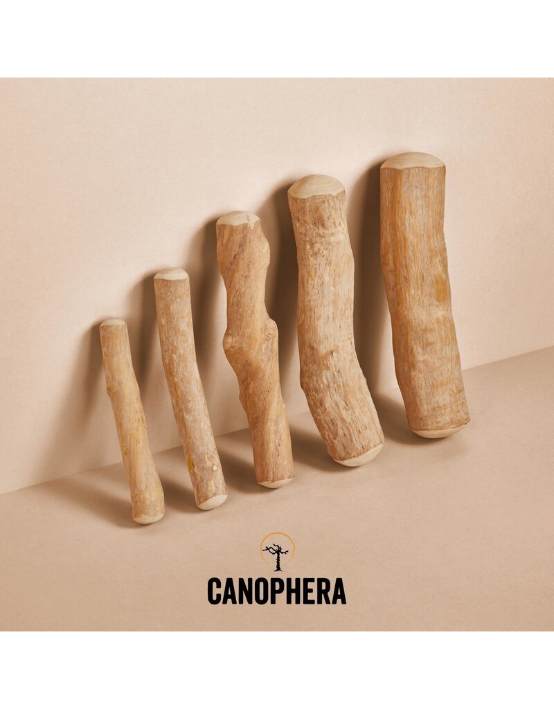 Canophera Coffee Wood Chews