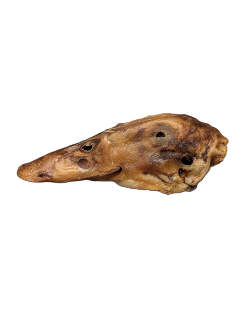 Furever Fierce Bulk Duck Head