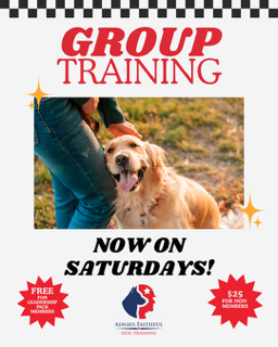 Group Training