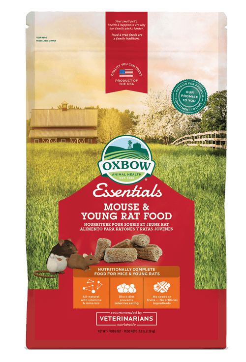 Chewy oxbow rat food cheap