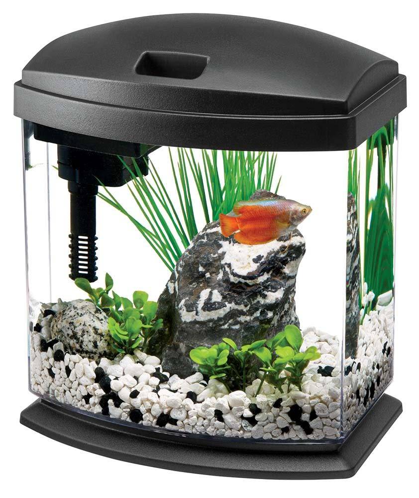 aqueon desktop aquarium