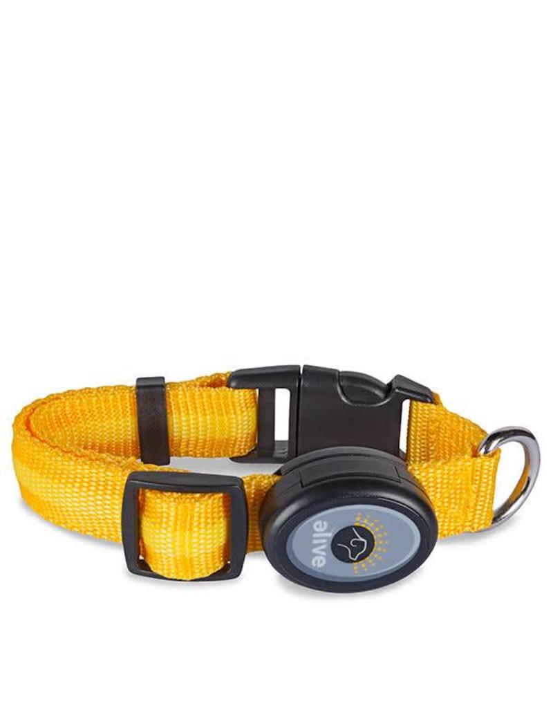 elive dog collar
