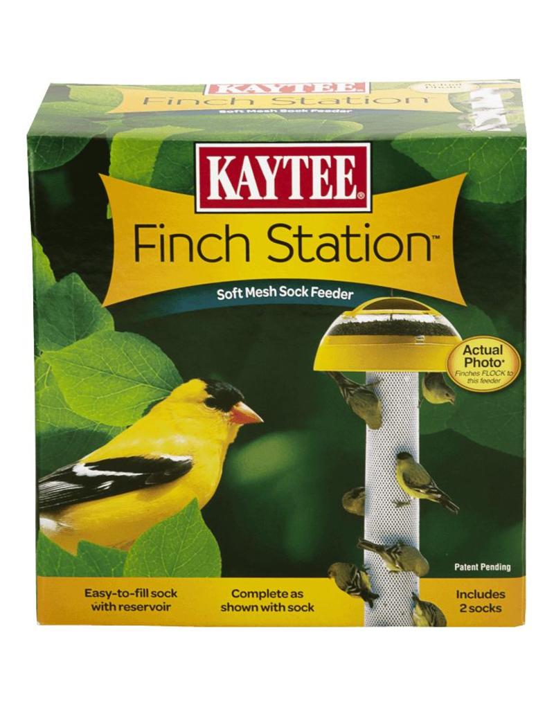 Finch Station Pet In The City