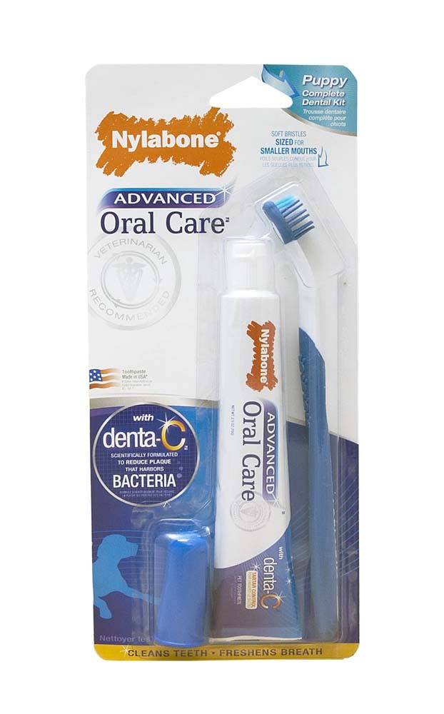 Nylabone dental kit hotsell