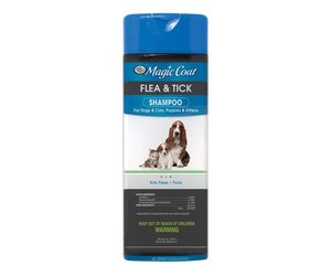 magic coat flea and tick shampoo