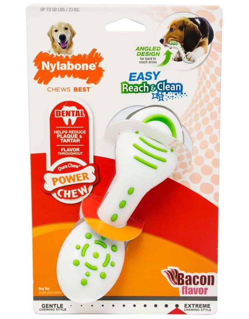 nylabone power chew bacon flavor