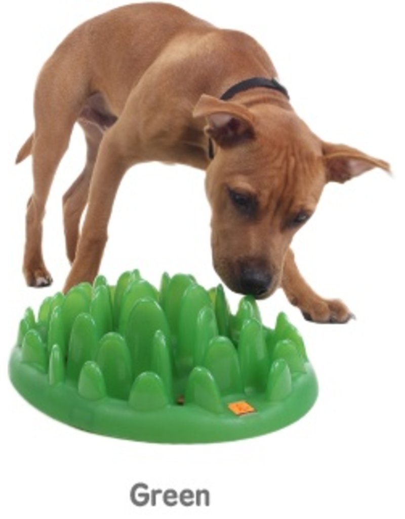 Green Interactive Feeder Pet In The City