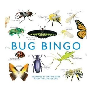 Bug Bingo