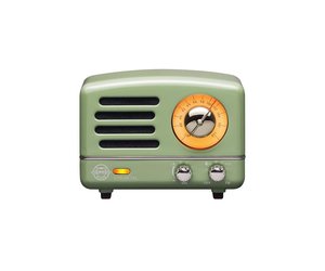 Muzen Radio: Mint Green - Frank Lloyd Wright's Martin House Museum