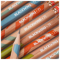 FLW Blackwing Volume 71 - Set of 12 Pencils