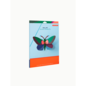 3D Acacia Butterfly