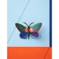 3D Acacia Butterfly