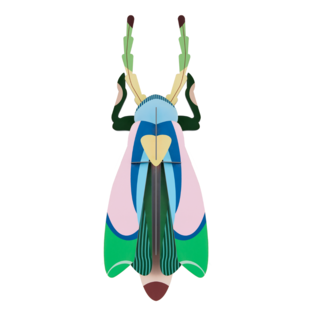 3D Sakura Beetle