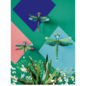3D Dragonflies, Set of 3