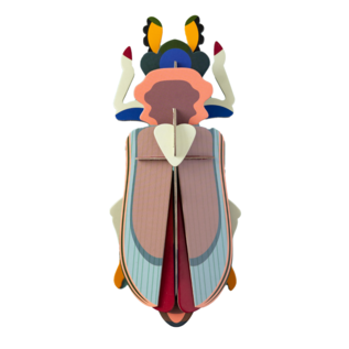 3D Tiger Beetle