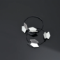 Leslie Hoop Earrings (blk/slv)