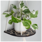 Hanging Plant Shelf - Abstract Black