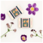 Pocket Flower Press - Teasel