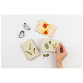 Pocket Flower Press - Tulip