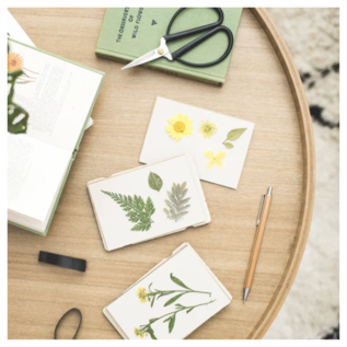 Pocket Flower Press - Teasel
