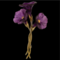 Petunia Brooch 6258BZ