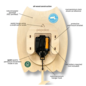 Birdhouse Pendulum Clock