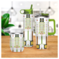 Water Bottle 24oz - Frank Lloyd Wright "Tree of Life"