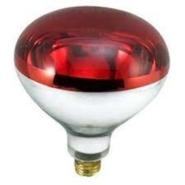 Westinghouse 250W Red Heat Lamp Bulb