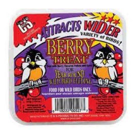 Central Garden and Pet C&S 11 3/4 Ounce Berry Treat Suet Cake