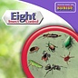 BONIDE PRODUCTS INC     P BONIDE EIGHT YARD & GARDEN INSECT CONTROL RTS QT