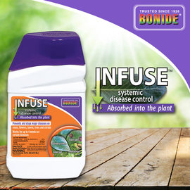 BONIDE PRODUCTS INC     P BONIDE INFUSE SYSTEMIC DISEASE CONTROL PT