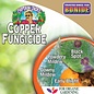 BONIDE COPPER FUNGICIDE READY-TO-SRPAY 1 PT