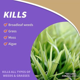 BONIDE PRODUCTS INC     P BONIDE BURNOUT WEED & GRASS KILLER CONCENTRATE GAL